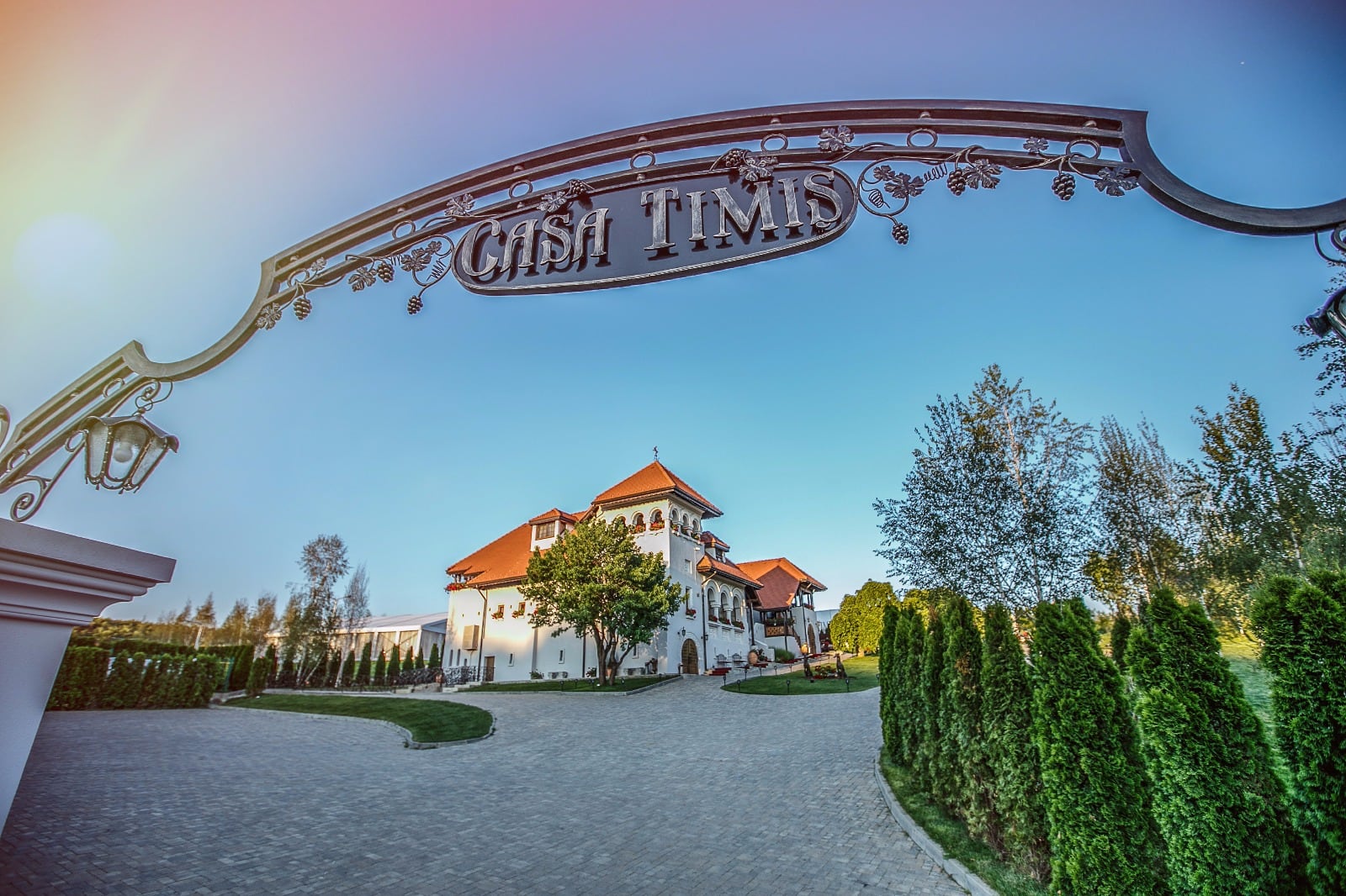 poarta domeniu Casa Timis