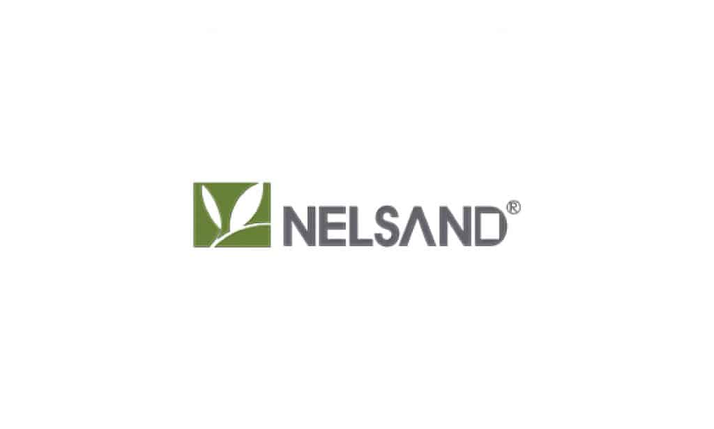 nelsand logo