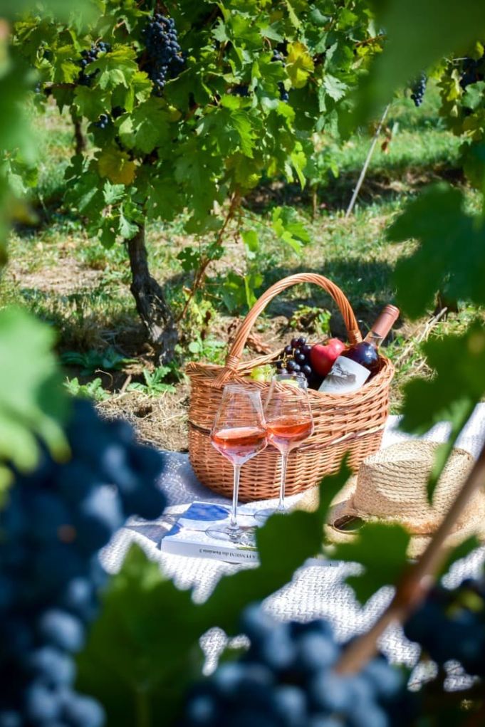 Picnic în natură Descoperiți magia unui picnic la Casa Timis