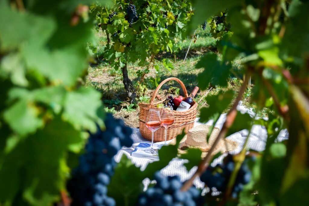 Picnic in natura - Picnic - Casa Timis2