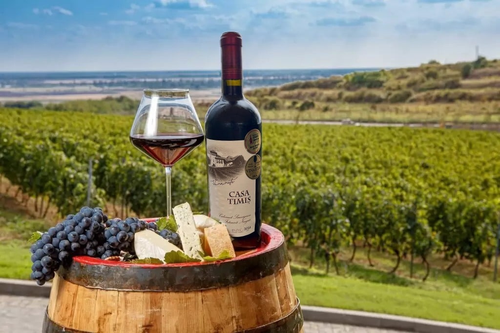 Degustare de vin - Casa Timis
