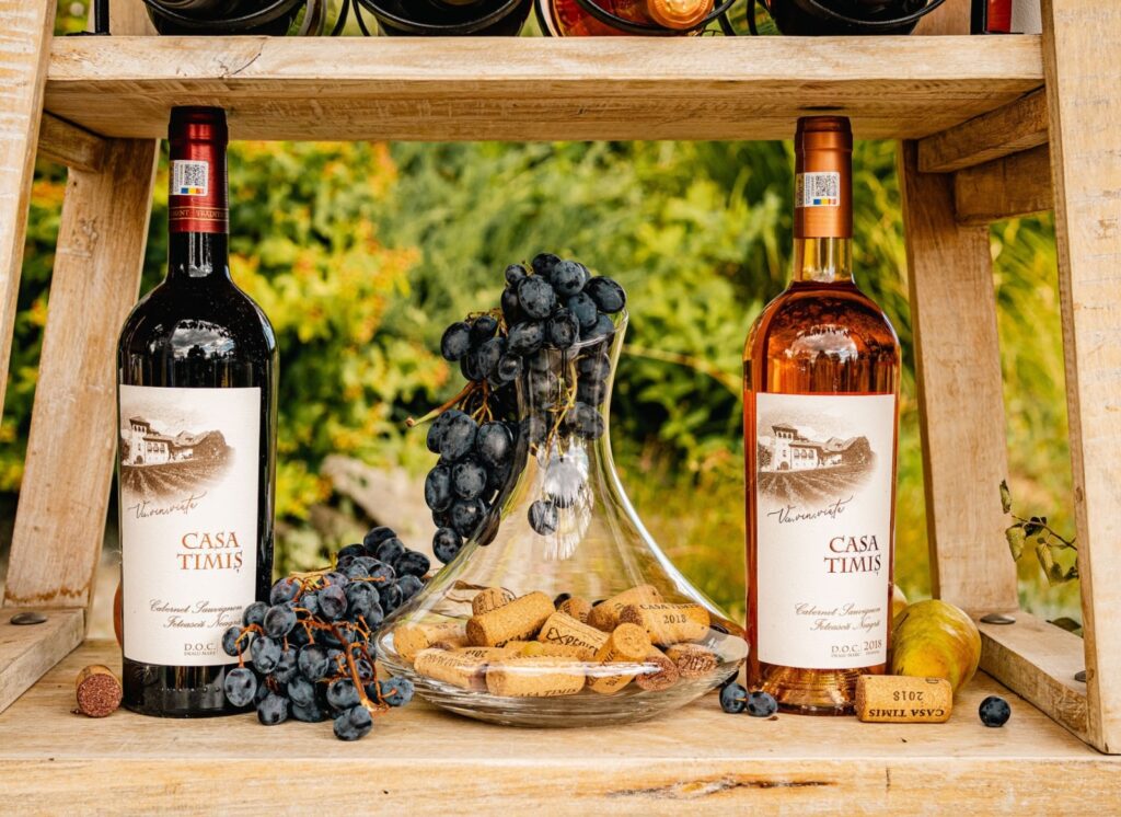 retreat romania - degustare de vin