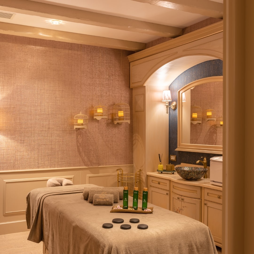Embrace Holistic Healing Spa - Spa Resort Romania - Premium Spa - Casa Timis Spa (2)