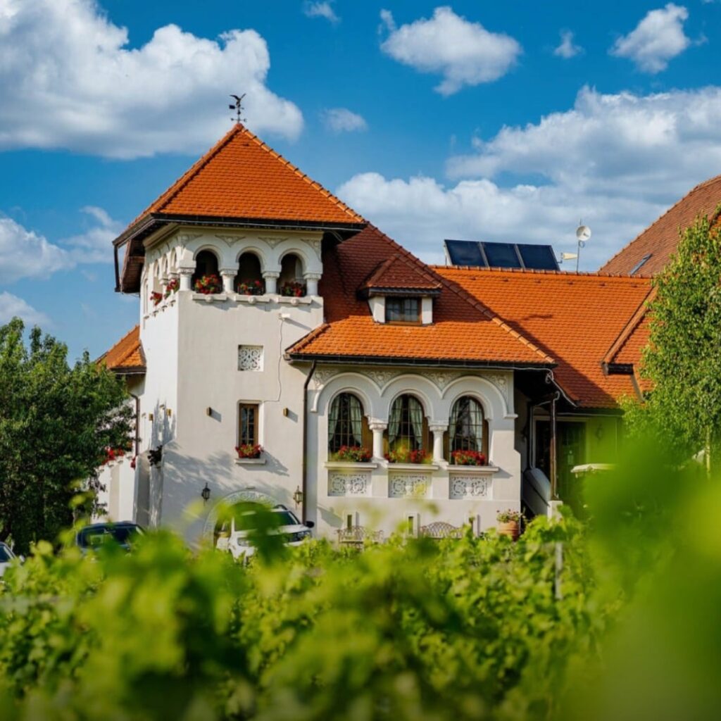 Conac Casa Timis - Cazare la conac