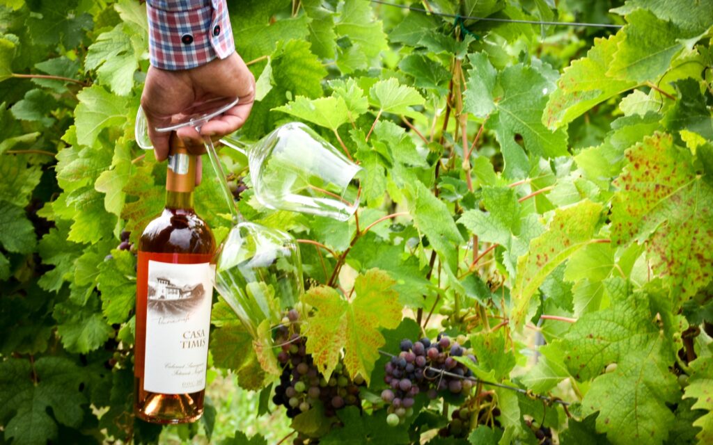 Cina romantica - Cina in vie