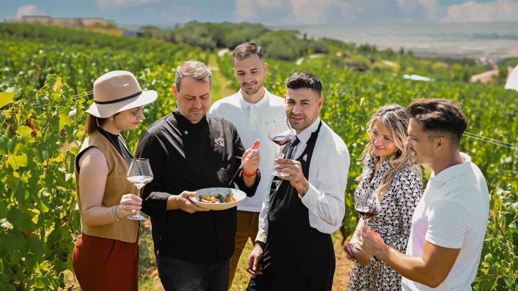 teambuilding - petrecere corporate - evenimente corporate-Casa Timis