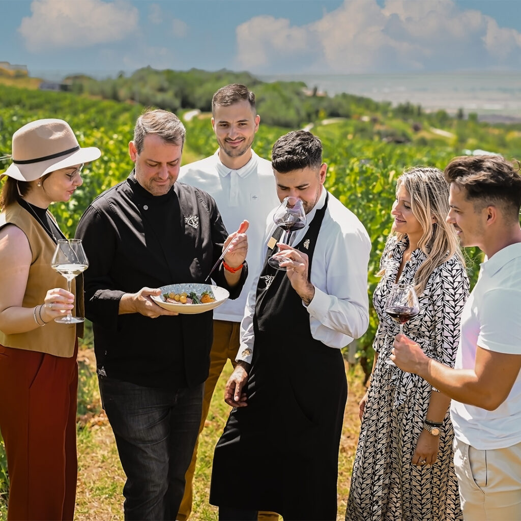 teambuilding - petrecere corporate - evenimente corporate-Casa Timis