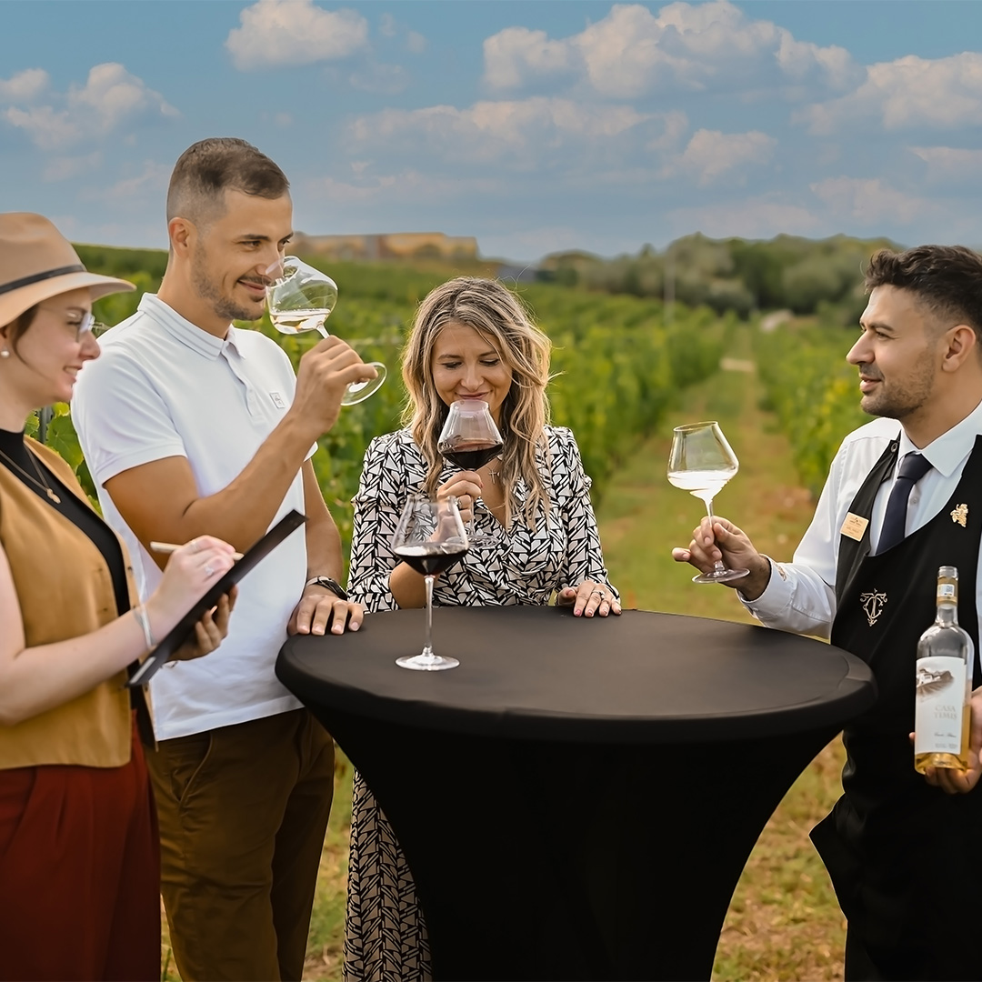 teambuilding - petrecere corporate - evenimente corporate-Casa Timis