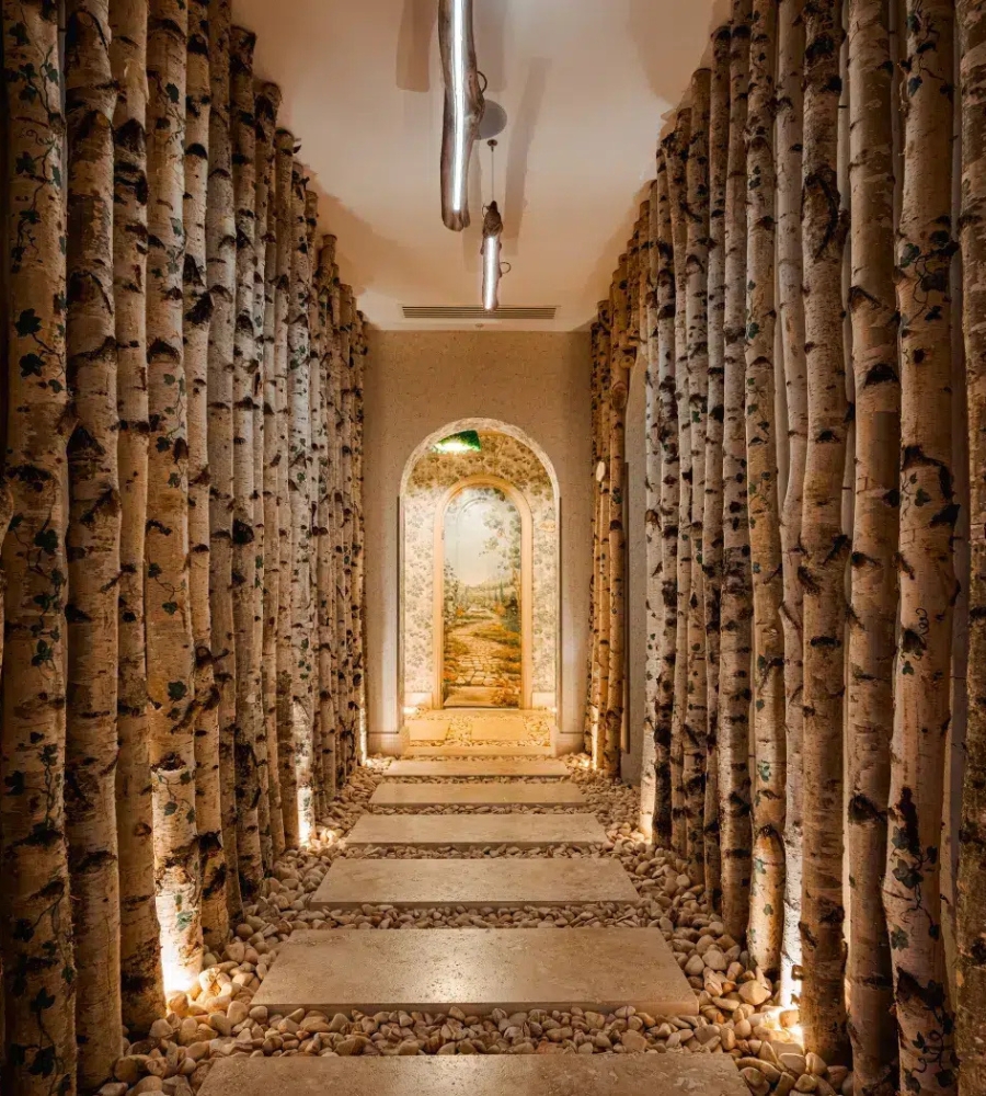 Embrace Holistic Healing Spa - Spa Resort - Wellness Spa Romania