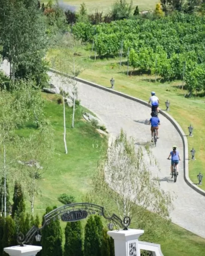 Experiente - Casa Timis Wellness Spa Resort Romania
