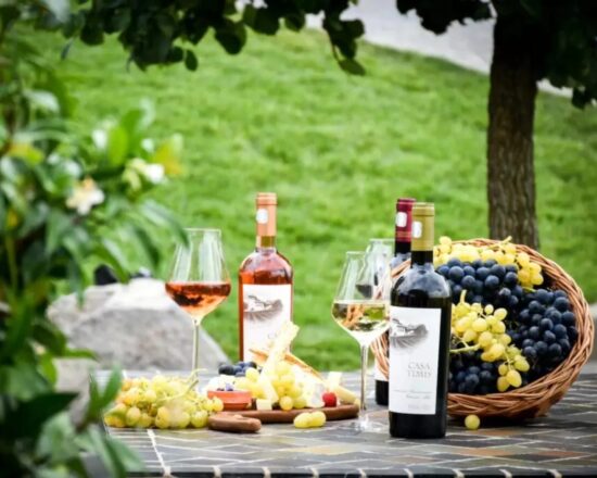 Wine & Food Pairing - Gastroexperiente Casa Timis