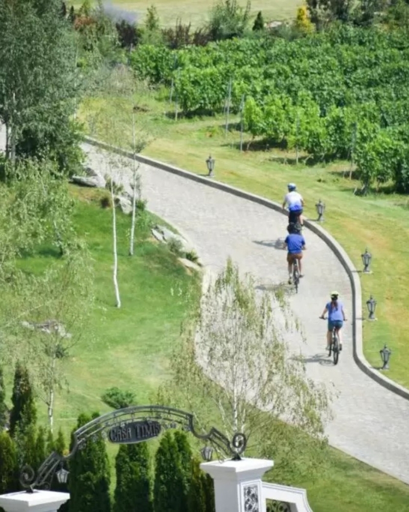 Explorează domeniul Casa Timiș cu bicicleta - Casa Timis Wellness Spa Resort Romania