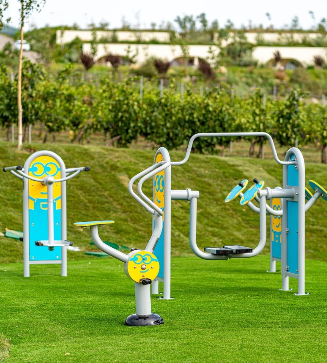 Parcul Casa Timiş Locuri de joacă în aer liber - Casa Timis Wellness & Spa Resort