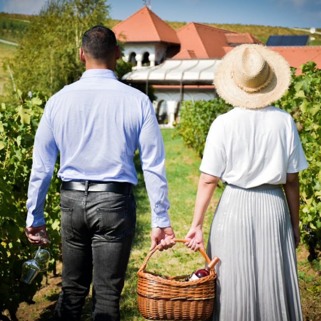 Picnic în natură - Casa Timis Wellness & Spa Resort
