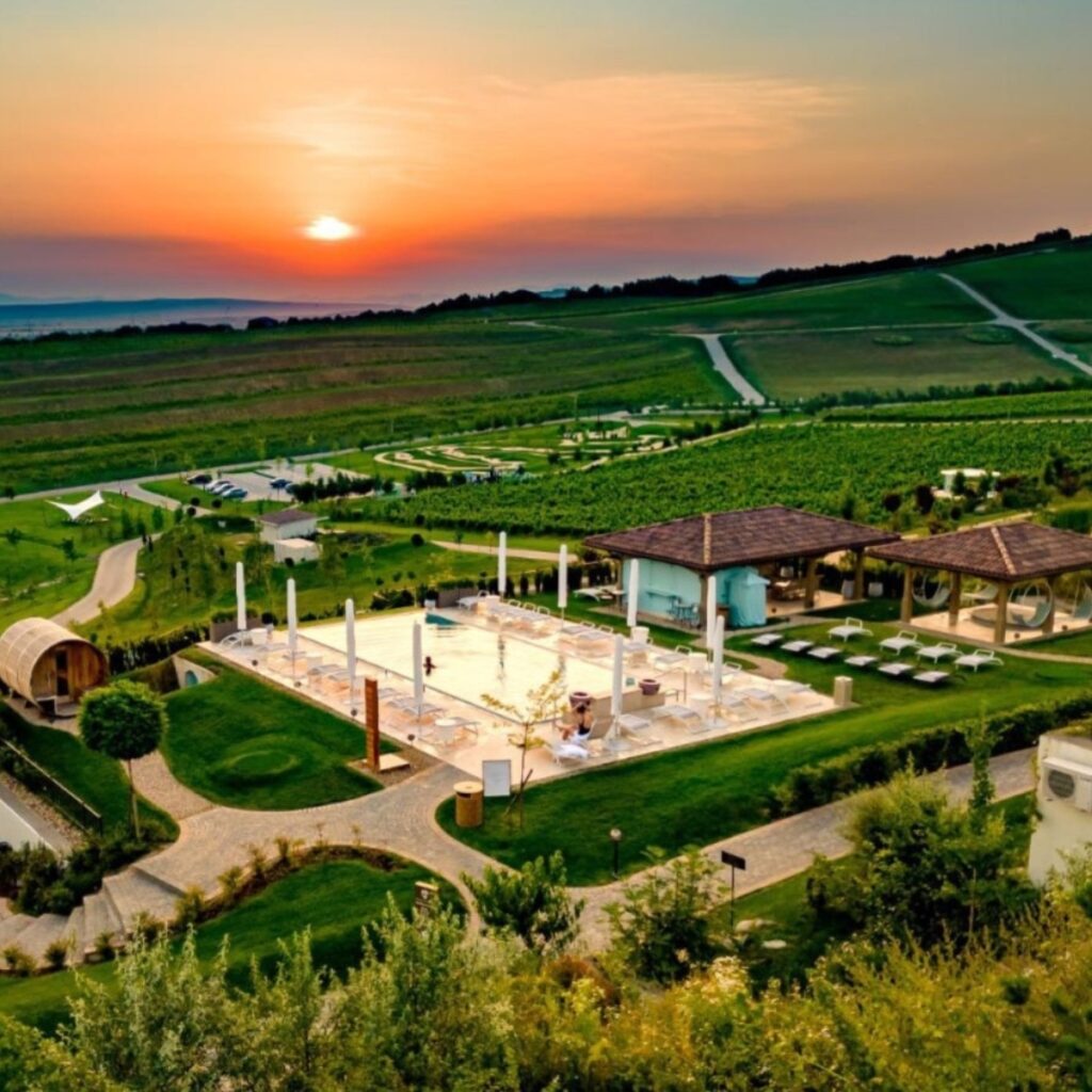 Piscină Infinity O oază de relaxare între vii