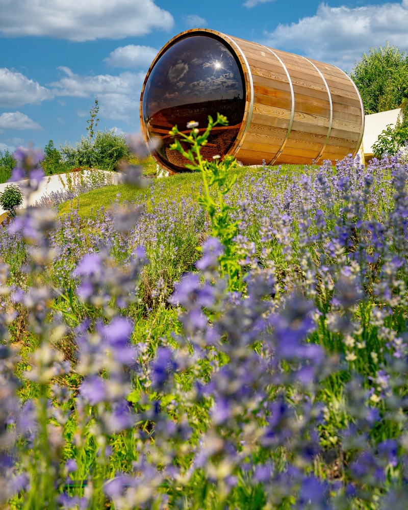 Casa Timis Fotografii - Galerie foto Casa Timis - Resort Romania - Wellness Spa Romania