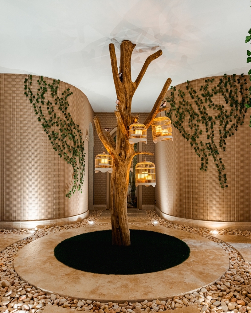 Casa Timis Fotografii - Galerie foto Casa Timis - Resort Romania - Wellness Spa Romania