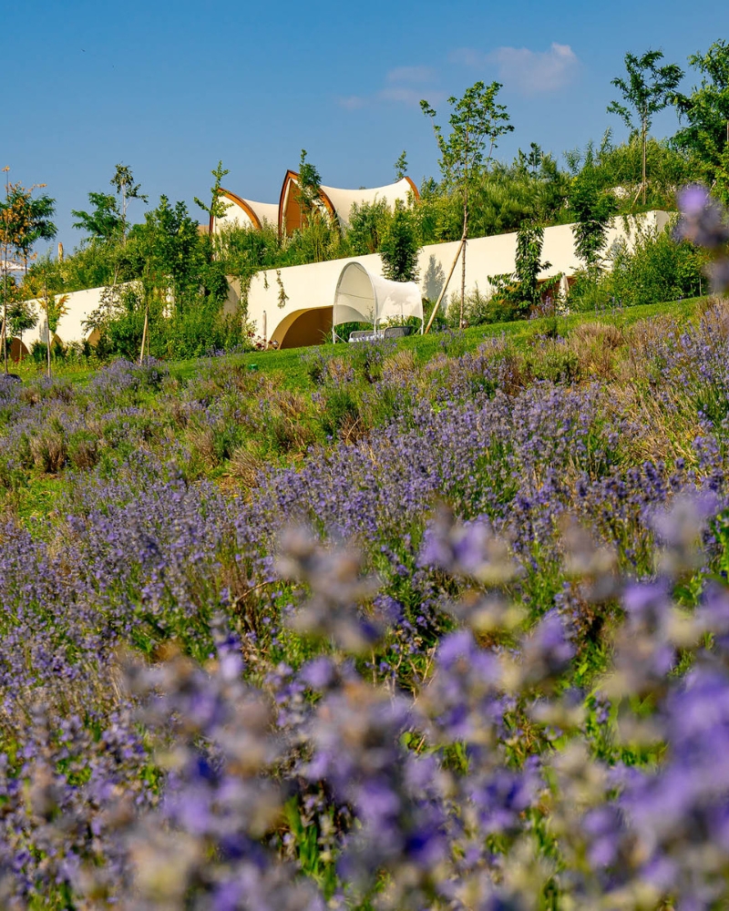 Casa Timis Fotografii - Galerie foto Casa Timis - Resort Romania - Wellness Spa Romania