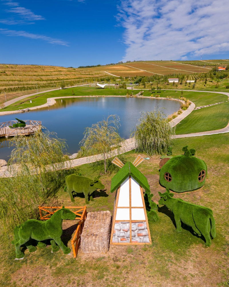 Casa Timis Fotografii - Galerie foto Casa Timis - Resort Romania - Wellness Spa Romania
