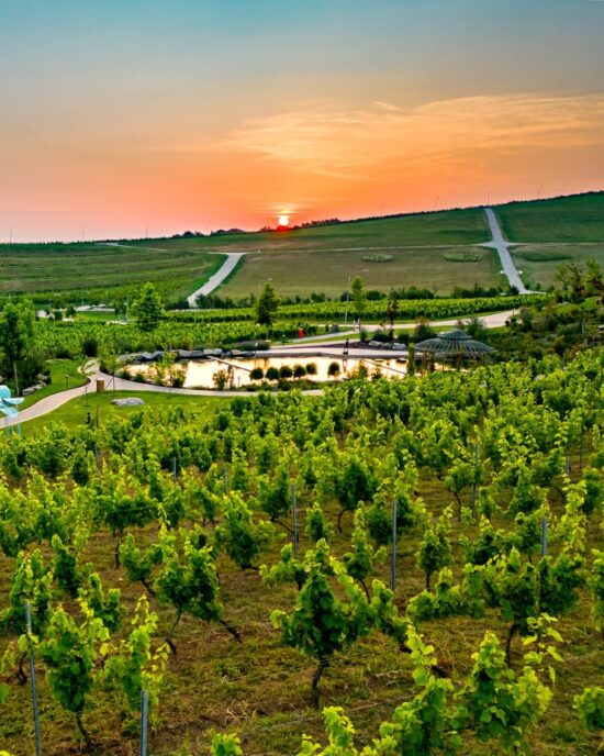 Casa Timis Fotografii - Galerie foto Casa Timis - Resort Romania - Wellness Spa Romania