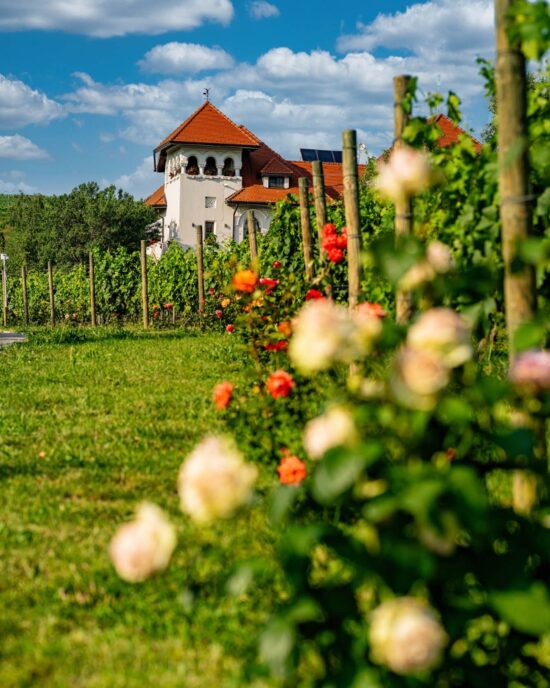 Casa Timis Fotografii - Galerie foto Casa Timis - Resort Romania - Wellness Spa Romania