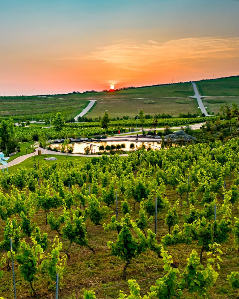 Casa Timis Fotografii - Galerie foto Casa Timis - Resort Romania - Wellness Spa Romania