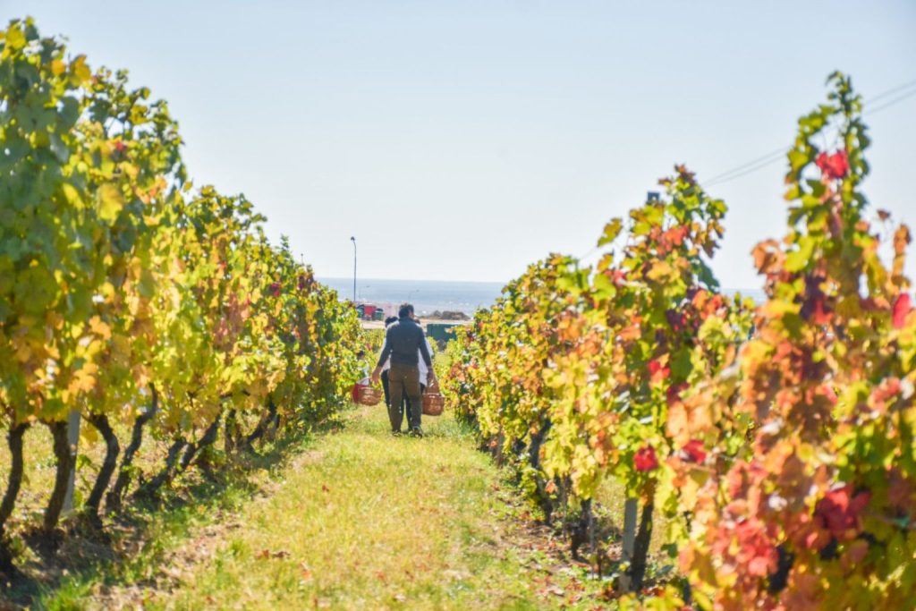 Cele mai frumoase locuri de cazare pentru toamna aceasta în România
