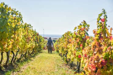 Cele mai frumoase locuri de cazare pentru toamna aceasta în România