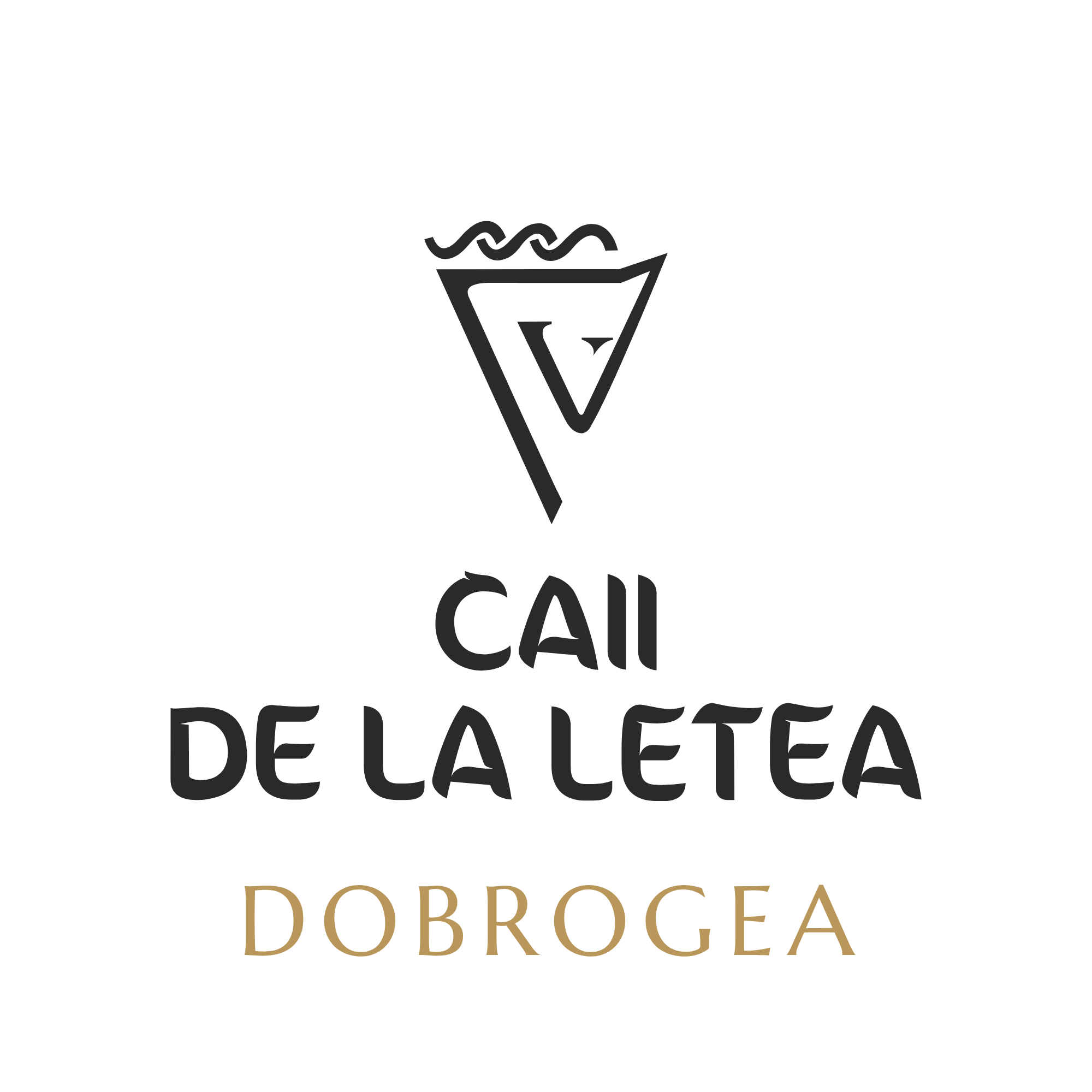 Ziua Nationala a Gastronomiei si a Vinului Romanesc - Casa Timis Wellness & Spa Resort - Eveneiment langa bucuresti - locuri de vizitat langa bucuresti (11)