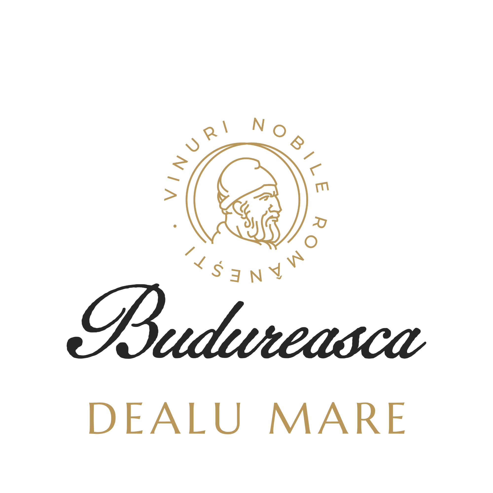 Ziua Nationala a Gastronomiei si a Vinului Romanesc - Casa Timis Wellness & Spa Resort - Eveneiment langa bucuresti - locuri de vizitat langa bucuresti (8)