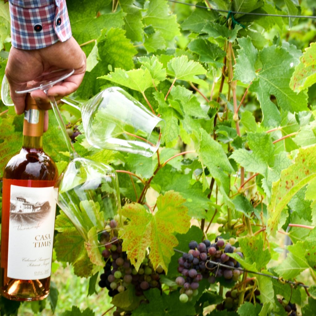 Cina romantica - Cina in vie