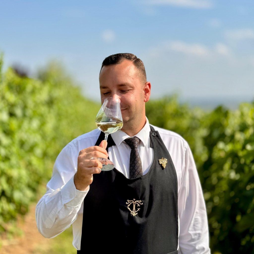 degustare de vin casa timis